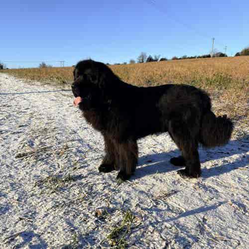 652496787_122101699359125551_800903748253849378_n