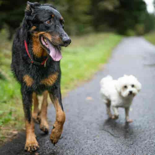 pexels-hugosykes-34176095